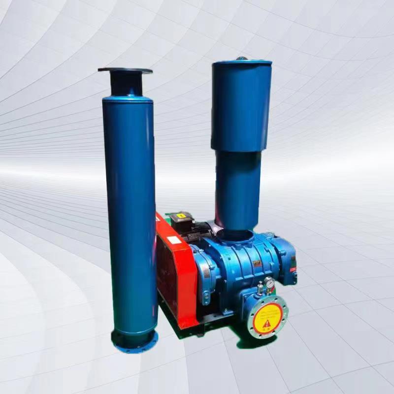 羅茨鼓風(fēng)機(jī) 羅茨鼓風(fēng)機(jī)